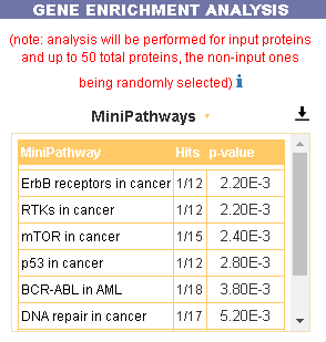 gene enrichment analysis